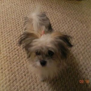 Meet your Posher, Vicki